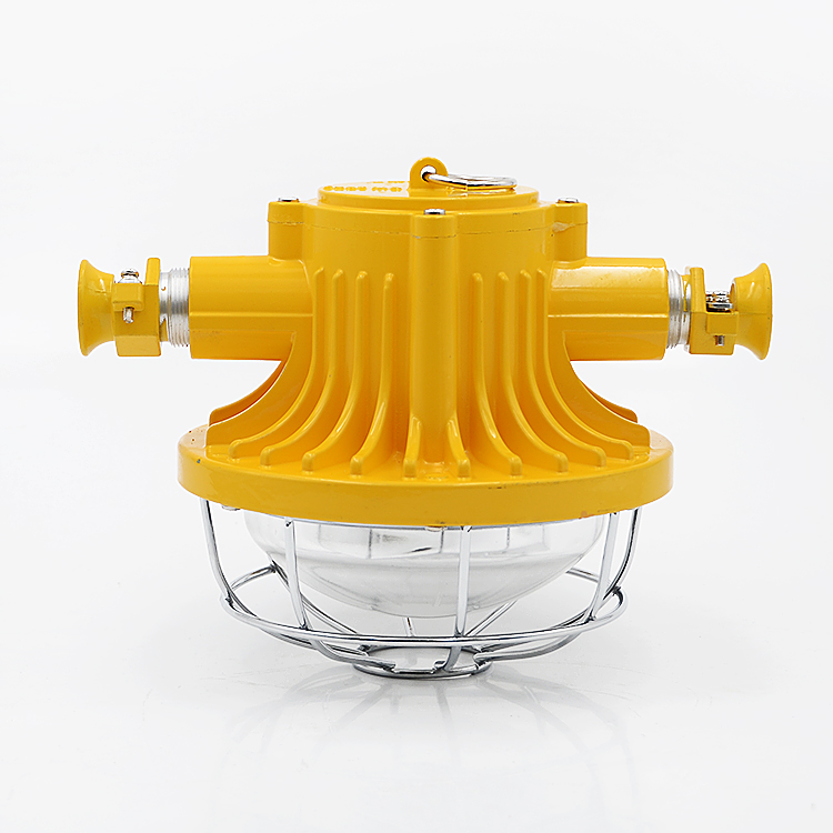 Đèn LED chiếu sáng phòng nổ - ảnh chi tiết 4