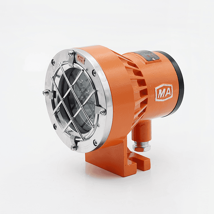 Đèn phòng nổ DGY