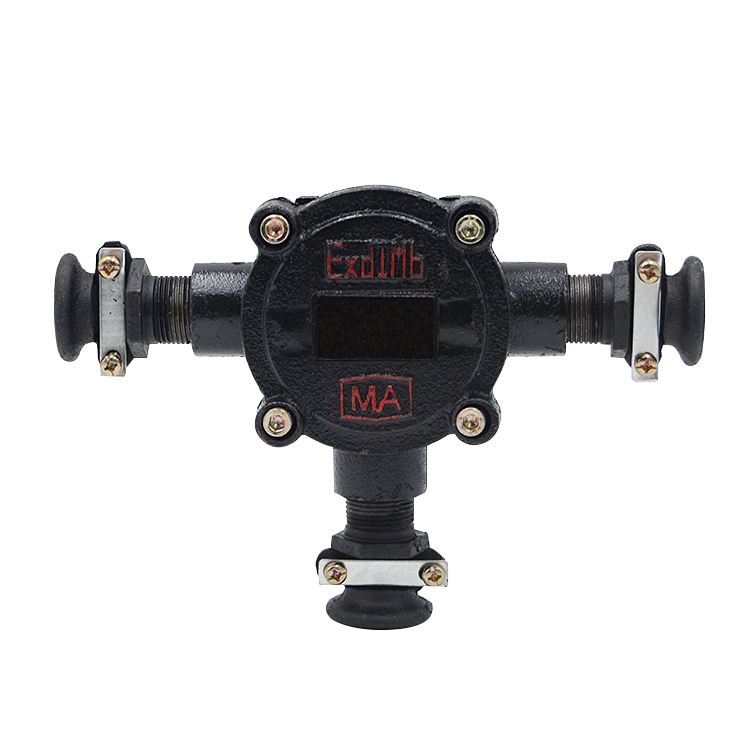 Hộp đấu cáp phòng nổ - ảnh chi tiết 2